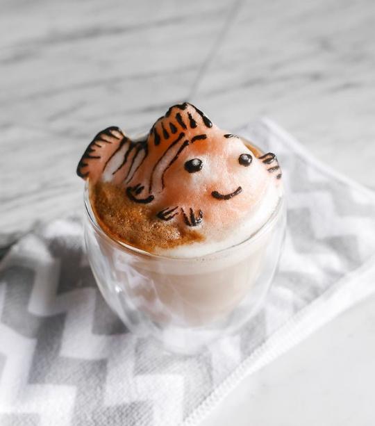İçmeye Kıyamayacağınız 3D Latte Sanatı 