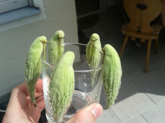 Ancak İkinci Defa Baktığınızda Anlam Çıkartacağınız Birbirinden İlginç Fotoğraflar