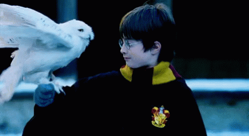 Harry Potter Serisinde Bizi En Çok Üzen 9 Ölüm
