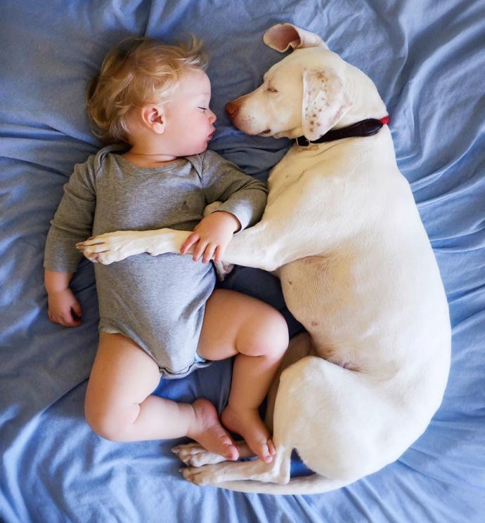 Kötü Günler Geçiren Sevimli Köpeğin Hayatını Değiştiren Bebek Arkadaşı!