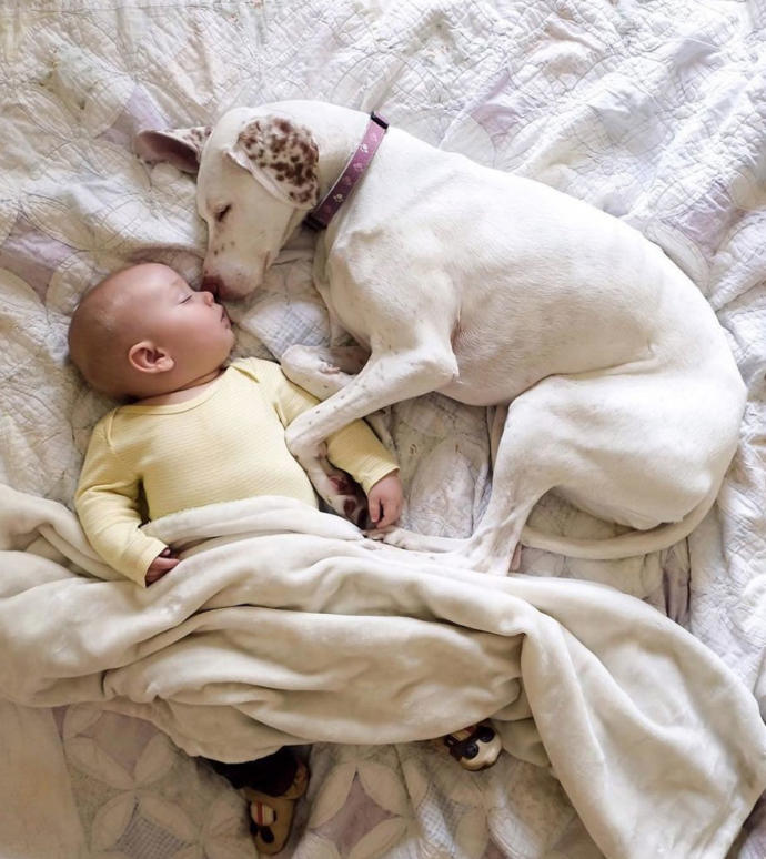 Kötü Günler Geçiren Sevimli Köpeğin Hayatını Değiştiren Bebek Arkadaşı!
