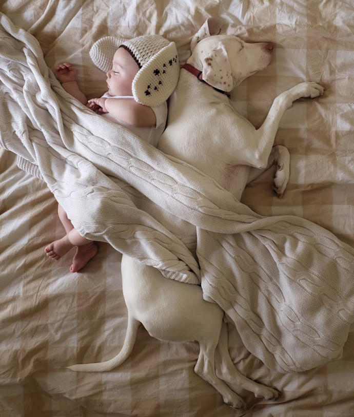 Kötü Günler Geçiren Sevimli Köpeğin Hayatını Değiştiren Bebek Arkadaşı!