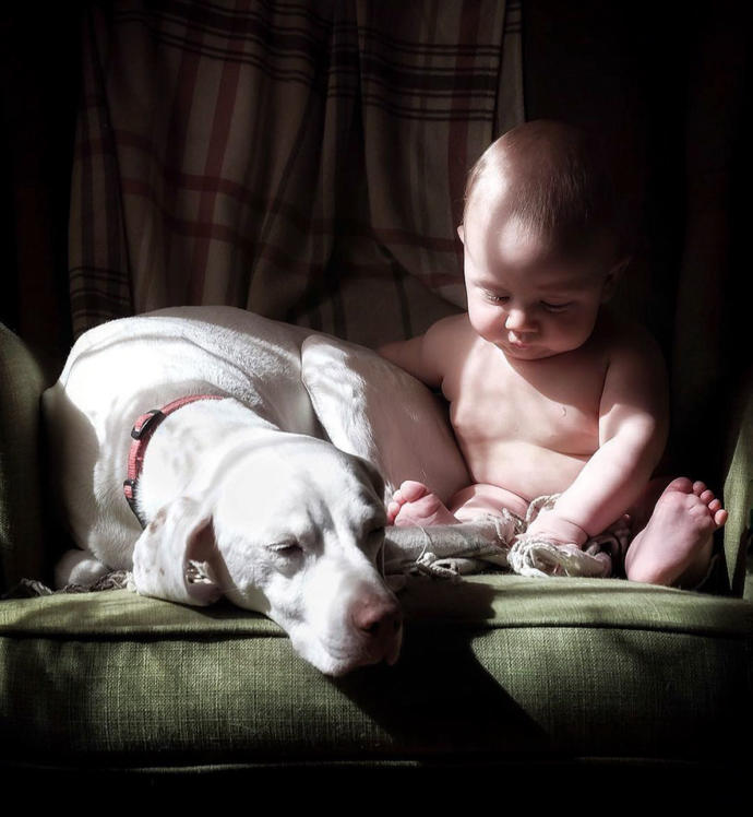 Kötü Günler Geçiren Sevimli Köpeğin Hayatını Değiştiren Bebek Arkadaşı!