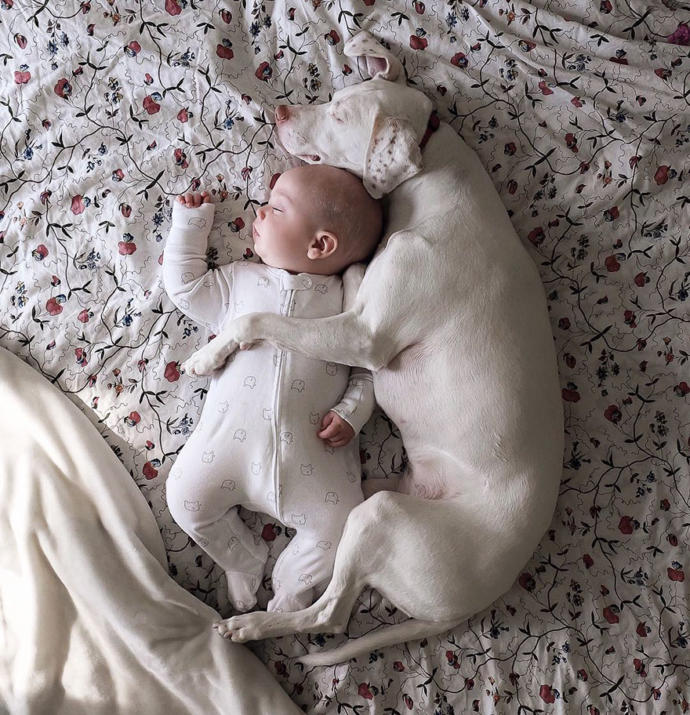 Kötü Günler Geçiren Sevimli Köpeğin Hayatını Değiştiren Bebek Arkadaşı!