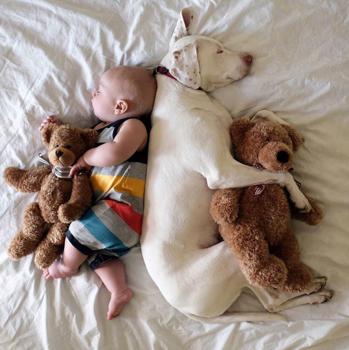 Kötü Günler Geçiren Sevimli Köpeğin Hayatını Değiştiren Bebek Arkadaşı!
