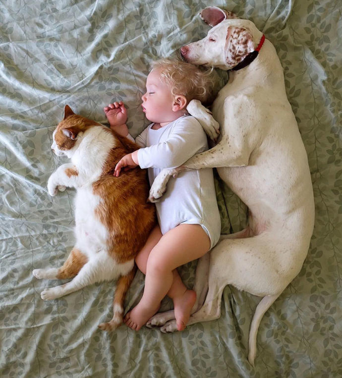 Kötü Günler Geçiren Sevimli Köpeğin Hayatını Değiştiren Bebek Arkadaşı!