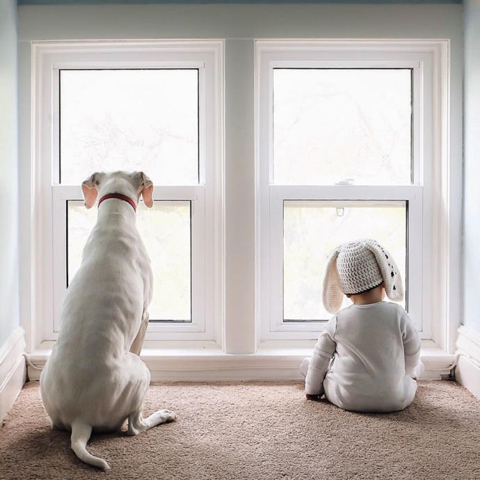 Kötü Günler Geçiren Sevimli Köpeğin Hayatını Değiştiren Bebek Arkadaşı!