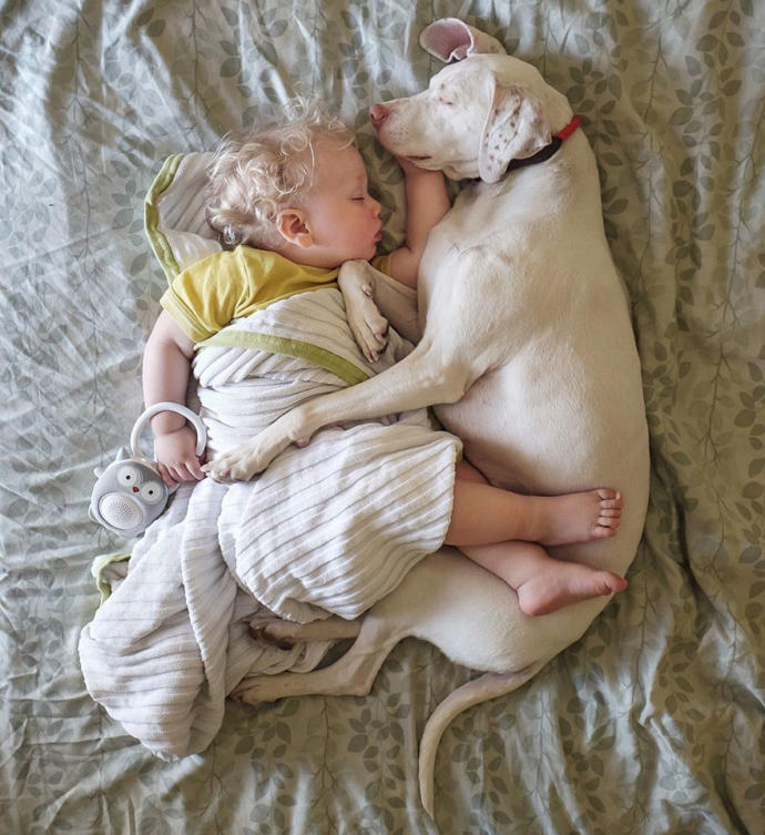 Kötü Günler Geçiren Sevimli Köpeğin Hayatını Değiştiren Bebek Arkadaşı!