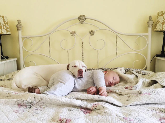 Kötü Günler Geçiren Sevimli Köpeğin Hayatını Değiştiren Bebek Arkadaşı!