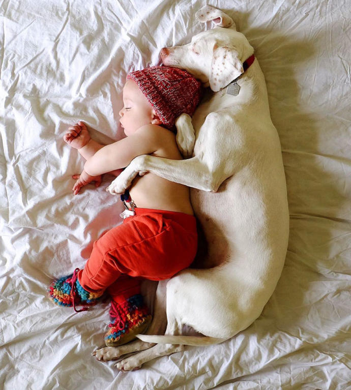 Kötü Günler Geçiren Sevimli Köpeğin Hayatını Değiştiren Bebek Arkadaşı!