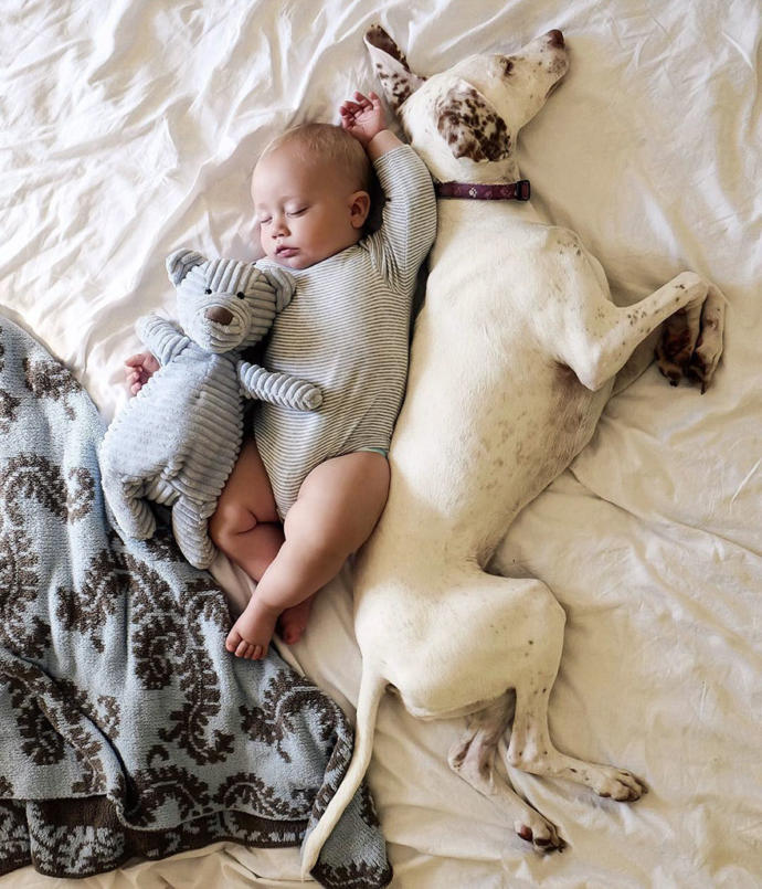 Kötü Günler Geçiren Sevimli Köpeğin Hayatını Değiştiren Bebek Arkadaşı!