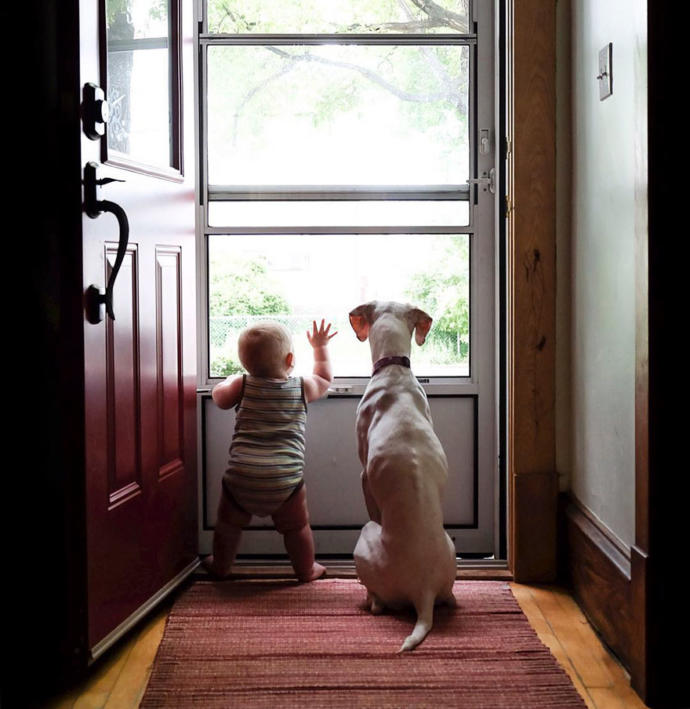 Kötü Günler Geçiren Sevimli Köpeğin Hayatını Değiştiren Bebek Arkadaşı!