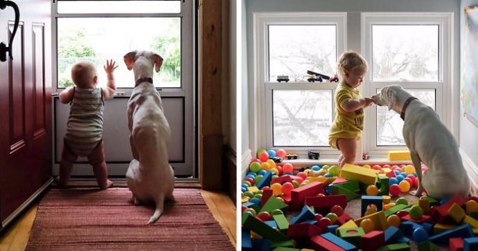 Kötü Günler Geçiren Sevimli Köpeğin Hayatını Değiştiren Bebek Arkadaşı!