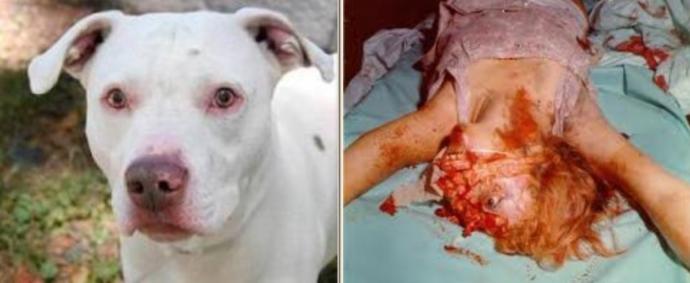 Kötü Günler Geçiren Sevimli Köpeğin Hayatını Değiştiren Bebek Arkadaşı!