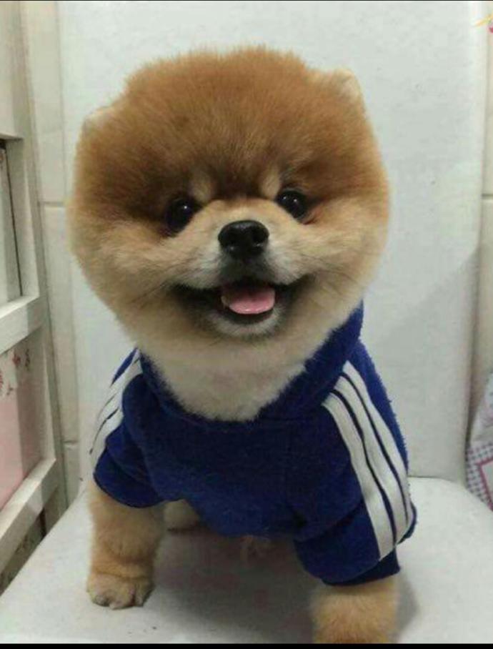 Kötü Günler Geçiren Sevimli Köpeğin Hayatını Değiştiren Bebek Arkadaşı!