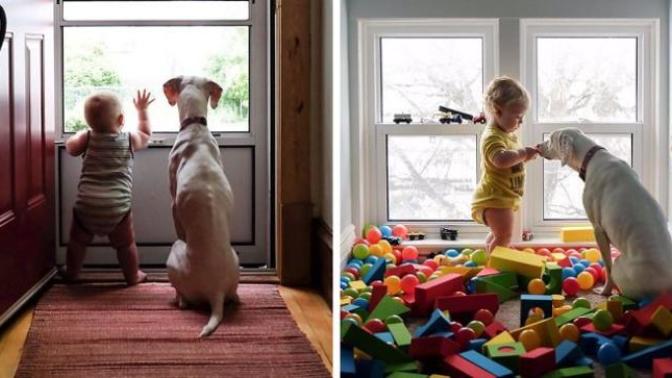 Kötü Günler Geçiren Sevimli Köpeğin Hayatını Değiştiren Bebek Arkadaşı!