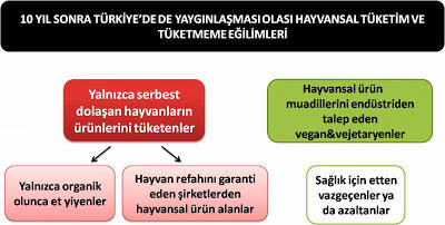 Türkiye'de Vegan Olacağıma Kaf Dağında Kar Olsaydım Dedirten Durumlar