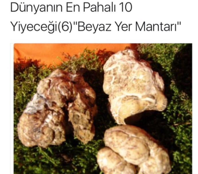 Tadını Bilmediğimiz Dünya Mutfağından En Pahalı Lezzetler!