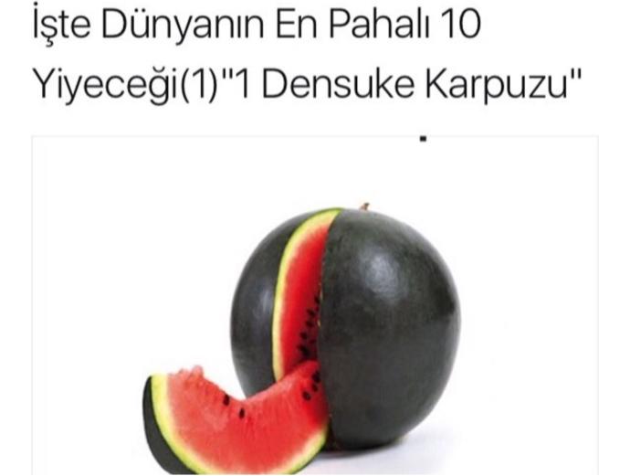Tadını Bilmediğimiz Dünya Mutfağından En Pahalı Lezzetler!