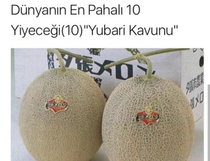 Tadını Bilmediğimiz Dünya Mutfağından En Pahalı Lezzetler!