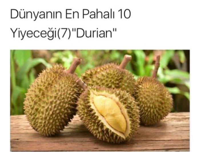 Tadını Bilmediğimiz Dünya Mutfağından En Pahalı Lezzetler!
