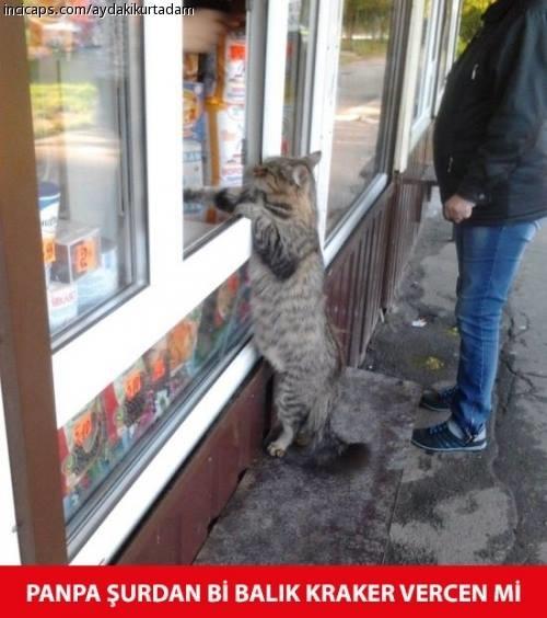 süpermarkette mağaza elemanı olmanın dezavantajları