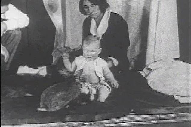 Minik Albert'in Hazin Ölümü!