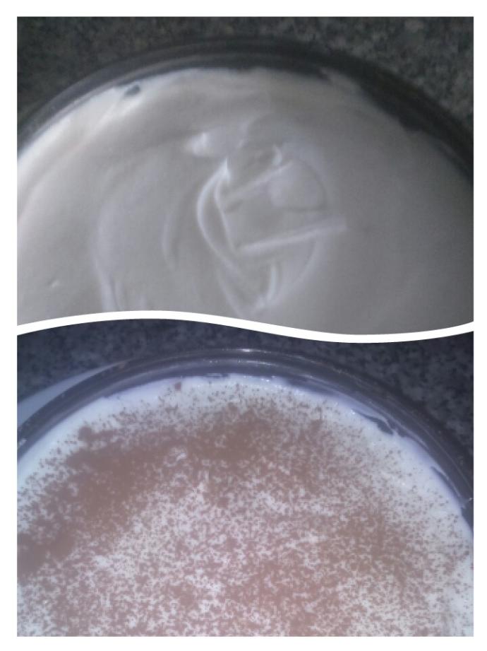 Tatlı Sevenler İçin Müthiş ve Kolay Bir Tarif: Tiramisu