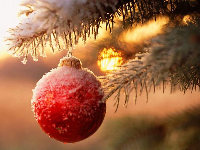 Ülkemizde noel ve yılbaşı 