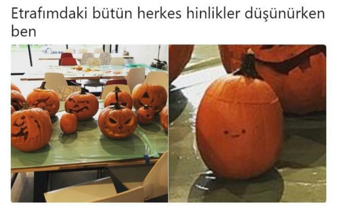 Eğitim ve Şefkat İsteyen Erkeğinizi 5 Adımda Kendinize Bağlayın!