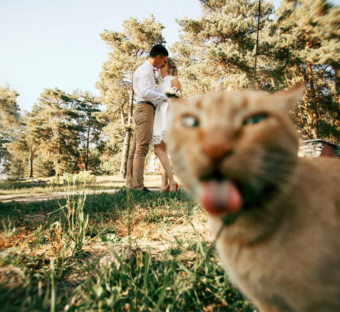 Tekrarı Olmayan Düğün Fotoğraflarının İstenmeyen Misafirleri!