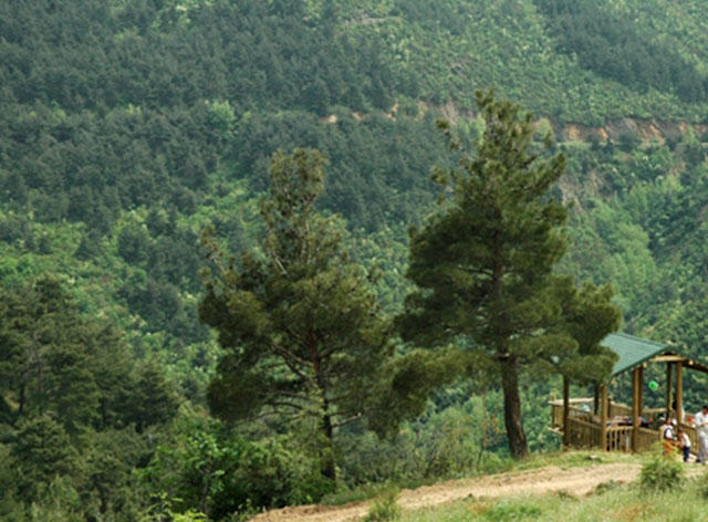 Tulum Diyarı Artvin'de Mutlaka Gidilmesi Gereken Yerler Nereler?