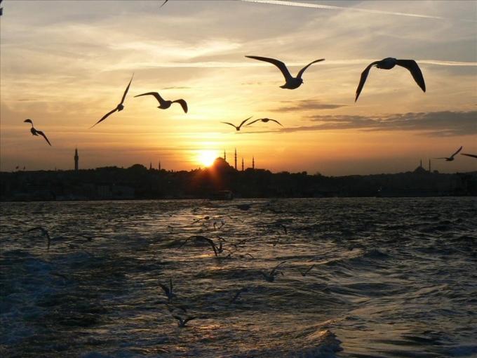 Taşıyla, Toprağıyla, Havasıyla ve Hayat Hikayesiyle Hepimizi Büyüleyen Dünyanın En Güzide Şehri İstanbul