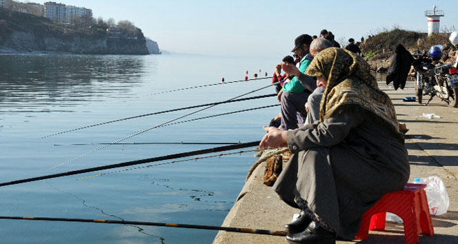 Deniz Kıyısı Bulunan Şehirde Tatil Yapmanın ve Yaşamanın Avantajları Nelerdir?