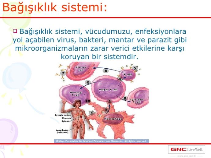 Erken Teşhis Hayat Kurtarır! HPV Virüsü Nedir?