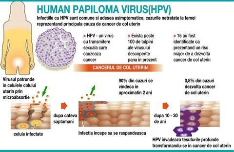 Erken Teşhis Hayat Kurtarır! HPV Virüsü Nedir?