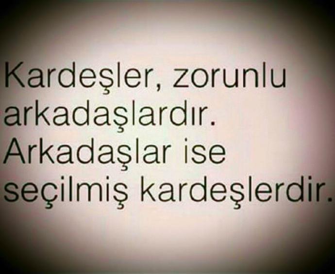 Gökyüzünde Parlayan Yıldız Gibidir "Arkadaşlar"