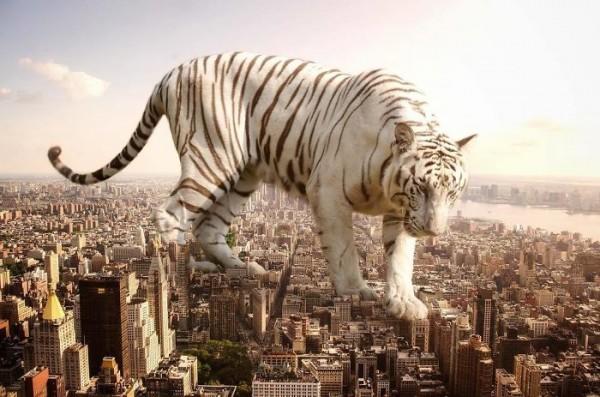 ''Ebnism'' Adı Altında Dijital Sanat Yapan Bir Sanatçı: Eben