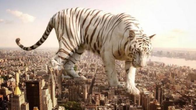 ''Ebnism'' Adı Altında Dijital Sanat Yapan Bir Sanatçı: Eben