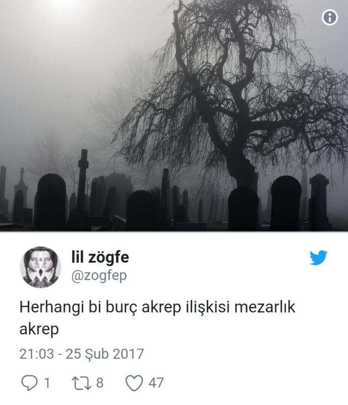 Akrep Burcu İnsanları Hakkındaki Fikirlerini Mizah Anlayışlarıyla Harmanlayan Akrep Severler!