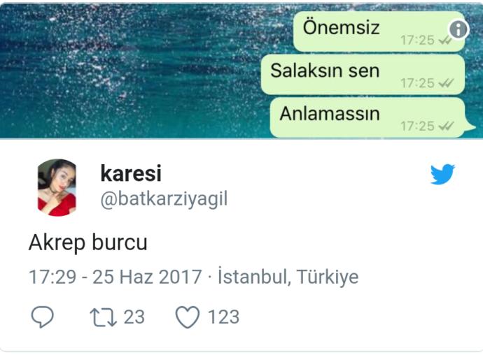Akrep Burcu İnsanları Hakkındaki Fikirlerini Mizah Anlayışlarıyla Harmanlayan Akrep Severler!