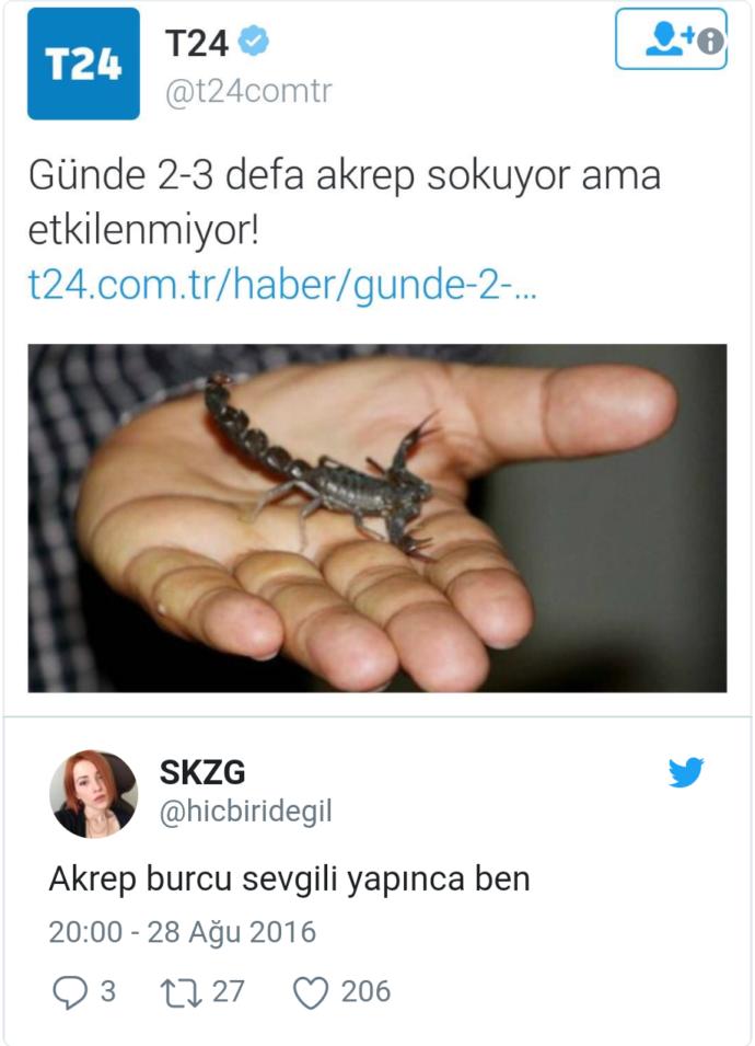 Akrep Burcu İnsanları Hakkındaki Fikirlerini Mizah Anlayışlarıyla Harmanlayan Akrep Severler!