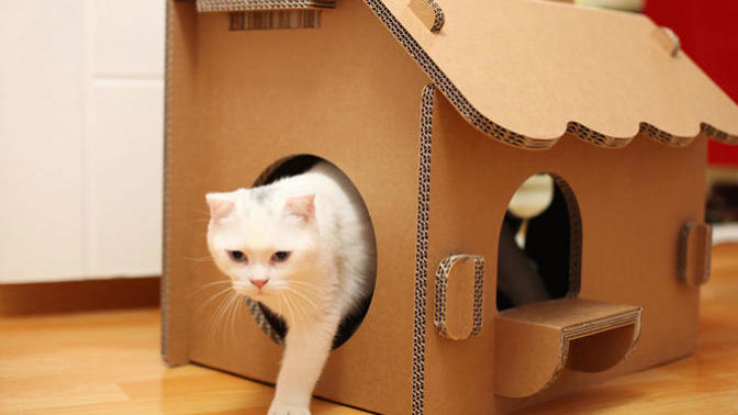 Karton Kutudan Kedi Evi Nasıl Yapılır?