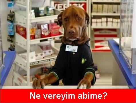 KizlarSoruyor Ailesinin Emektarı Olan Modlara Yöneltilen Birbirinden Uçuk Sorular!