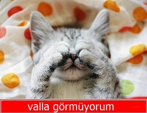 KizlarSoruyor Ailesinin Emektarı Olan Modlara Yöneltilen Birbirinden Uçuk Sorular!