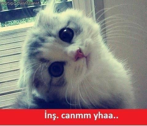 KizlarSoruyor Ailesinin Emektarı Olan Modlara Yöneltilen Birbirinden Uçuk Sorular!