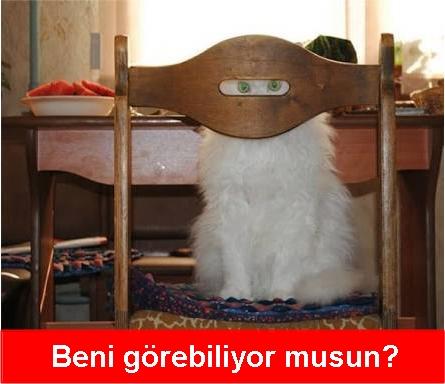 KizlarSoruyor Ailesinin Emektarı Olan Modlara Yöneltilen Birbirinden Uçuk Sorular!