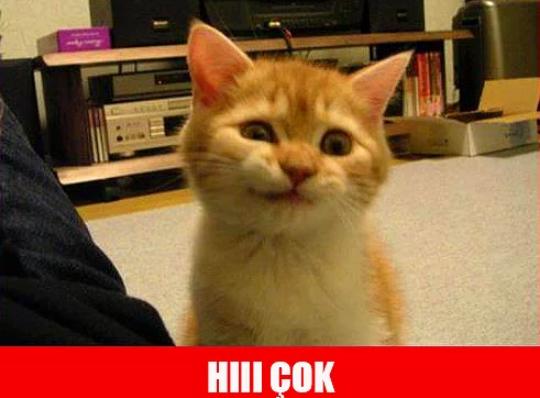 KizlarSoruyor Ailesinin Emektarı Olan Modlara Yöneltilen Birbirinden Uçuk Sorular!