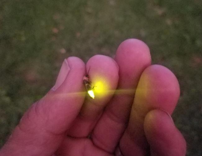 Doğanın Söz Dinlemez, Yaramaz Bir Çocuk Olduğunun Kanıtı Niteliğindeki Fotoğrafları!