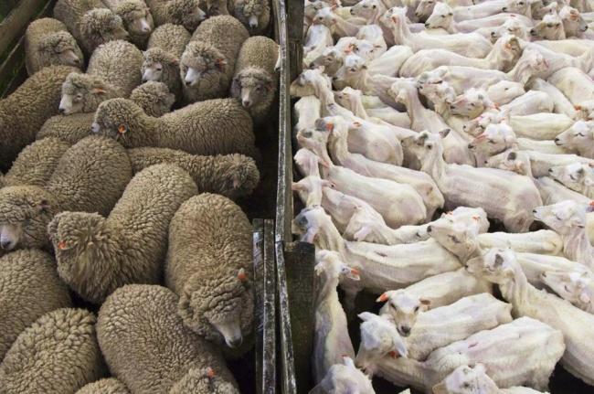 Dünyanın Farklı Pencerelerinden İnsanı Şaşırtan Kareler!